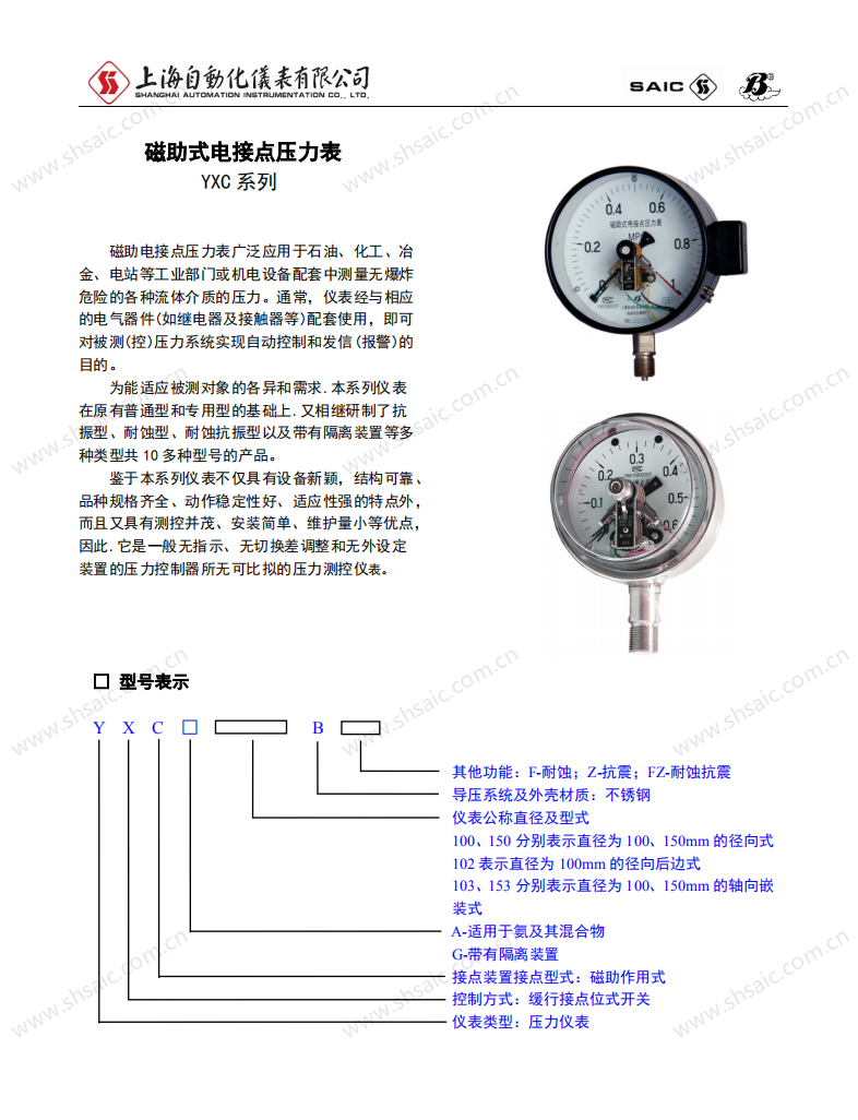 壓力表樣本_29.png