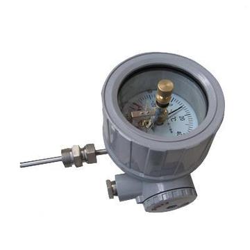 WSSX-481B防爆電接點雙金屬溫度計