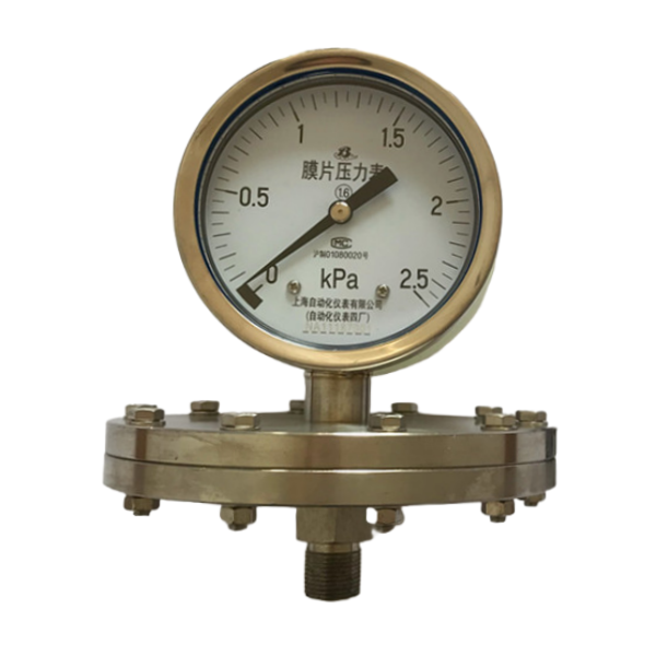 YPF-100B（0-2.5KPa）不銹鋼膜片壓力表